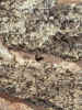 Close up of exterior granite and mortar before.JPG (87024 bytes)